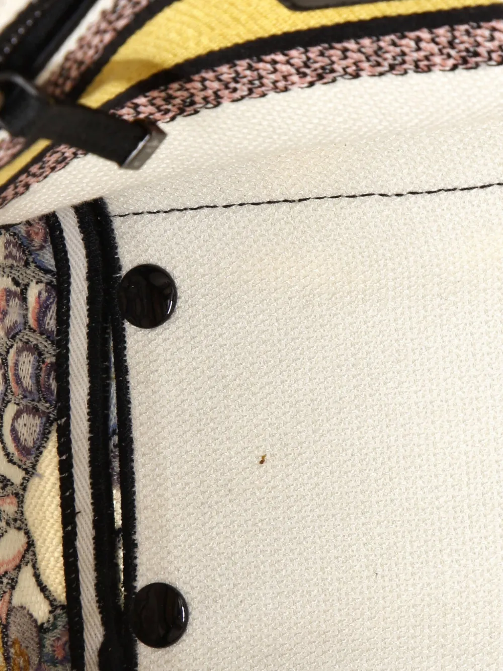 DIOR Pre-owned Lady D-lite Bag Embroidered Canvas Medium Satchel In Multi