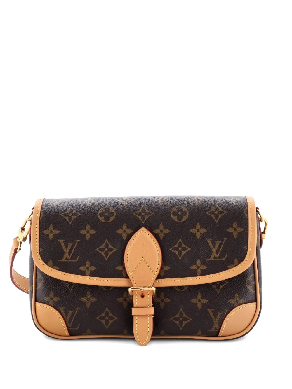 Louis Vuitton Pre-Owned Diane NM Handbag Monogram Canvas crossbody bag - Marrone