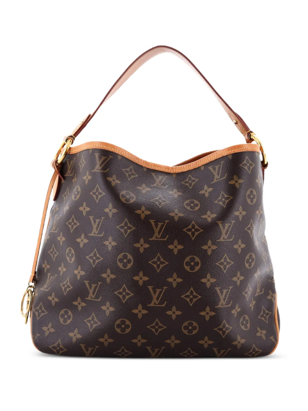 Louis Vuitton Pre-Owned Delightful NM Handbag Monogram Canvas MM hobo bag - Marrone