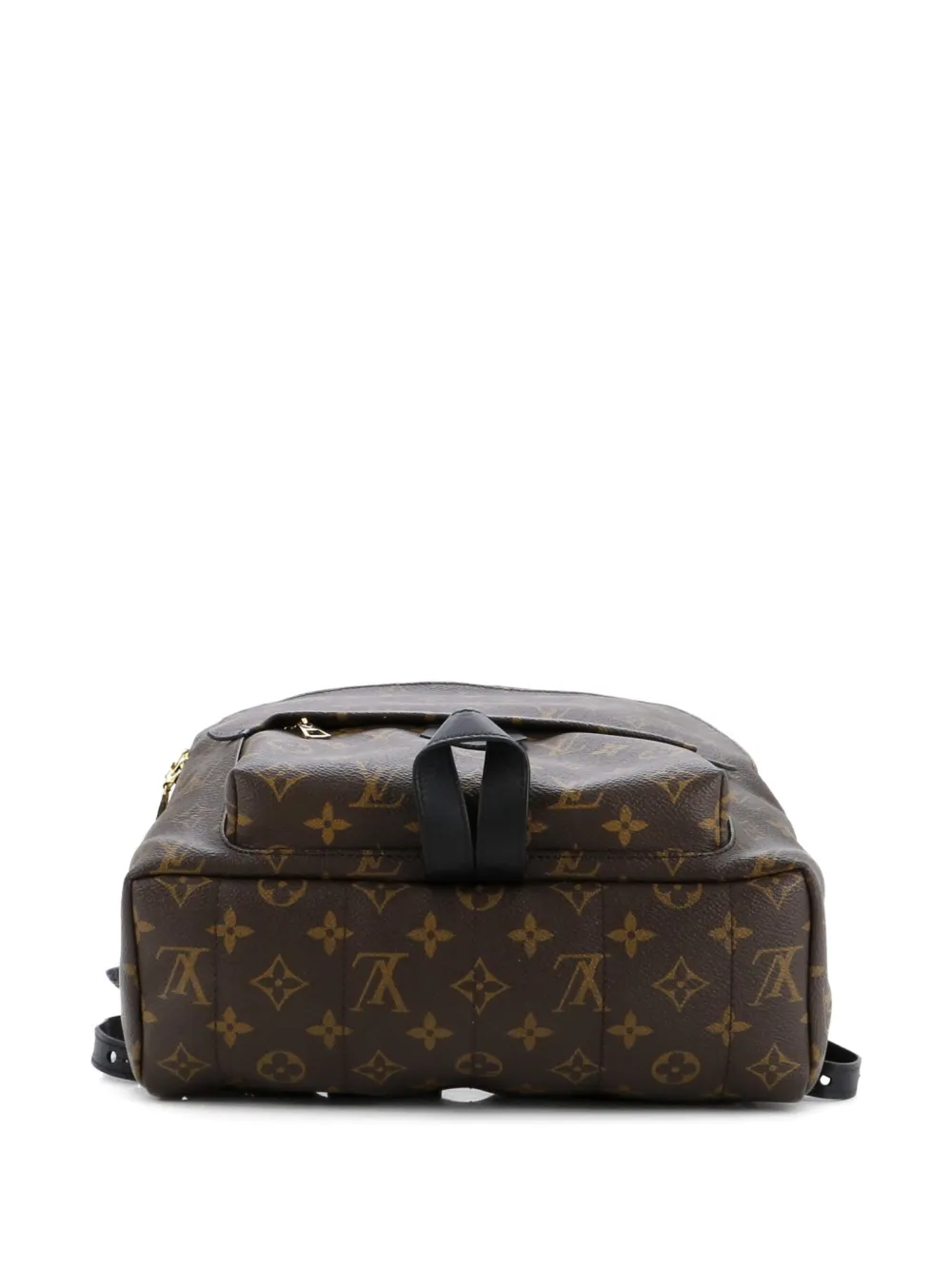 Pre-owned Louis Vuitton Palm Springs Monogram Canvas Mm Backpack In Brown