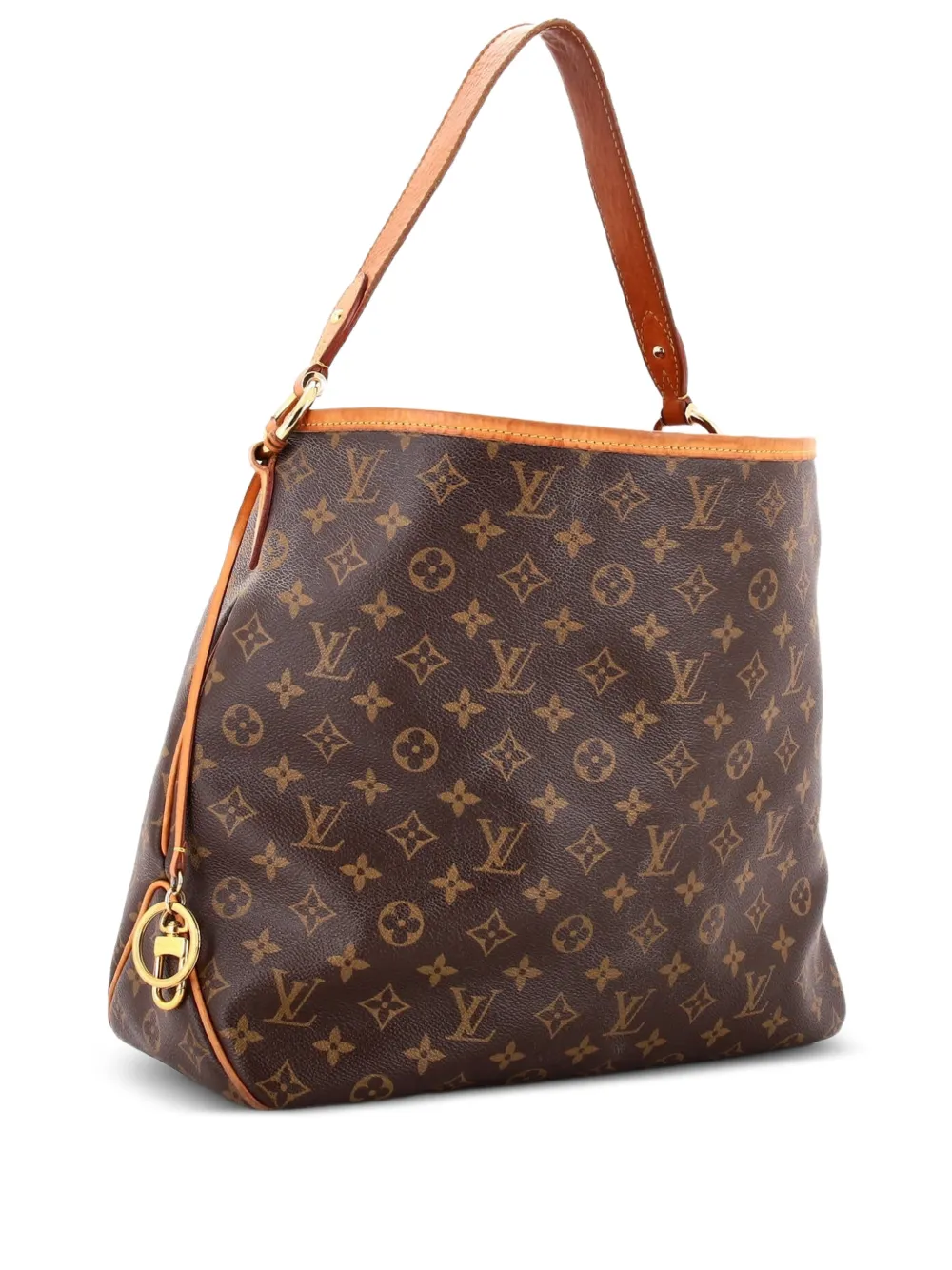 Louis Vuitton Pre-Owned Delightful NM Handbag Monogram Canvas MM hobo bag - Marrone