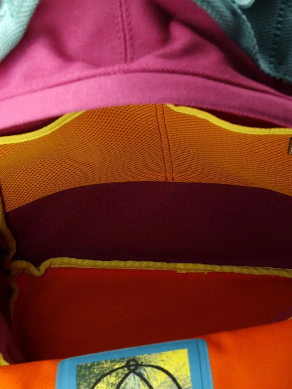 Pre-owned Loewe Eye//nature Tech Canvas With Leather Backpack In Multi