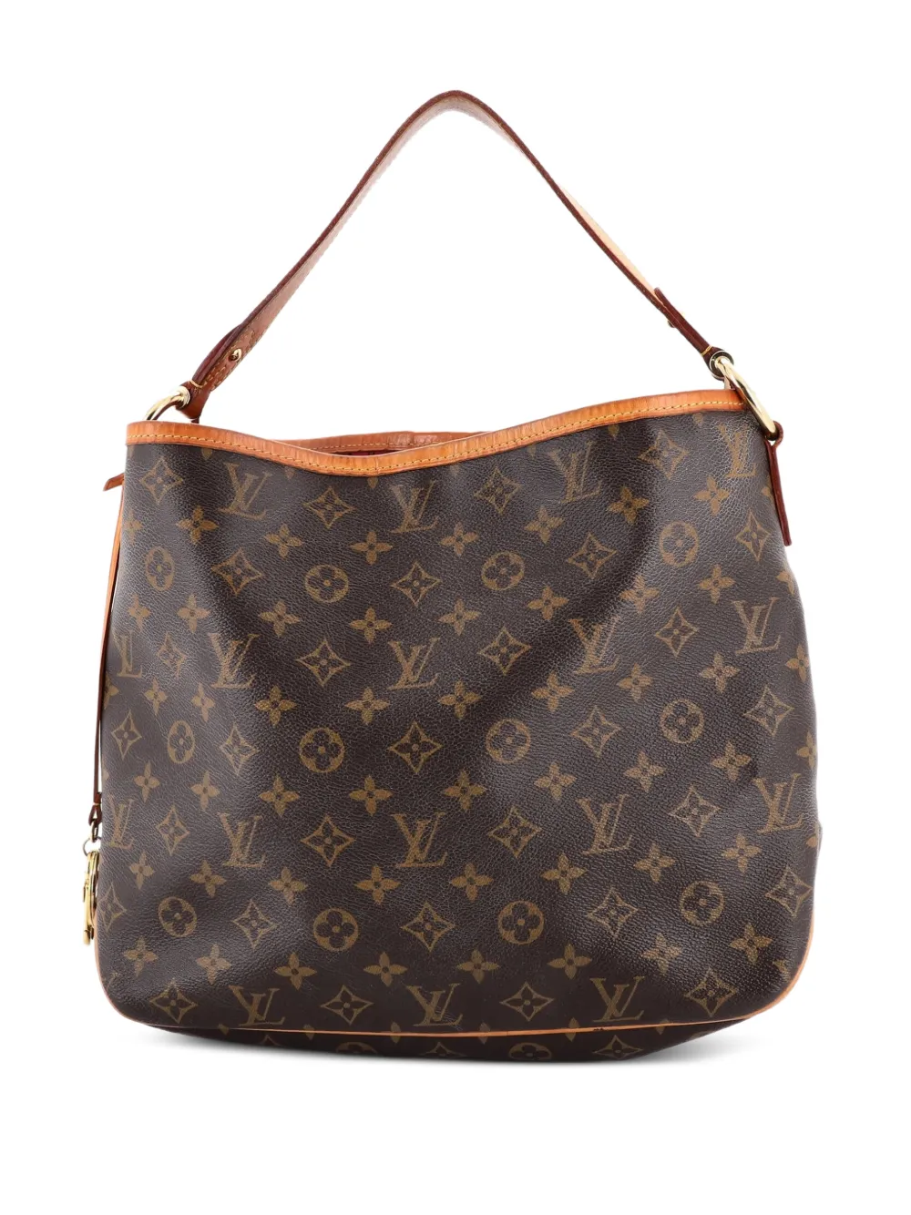 Louis Vuitton Pre-Owned Delightful NM Handbag Monogram Canvas MM hobo bag - Marrone