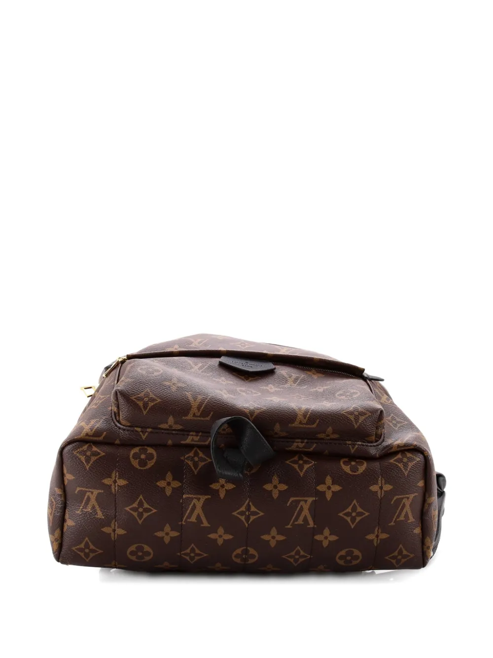 Pre-owned Louis Vuitton Palm Springs Monogram Canvas Mm Backpack In Brown