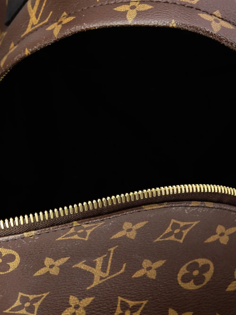 Pre-owned Louis Vuitton Palm Springs Monogram Canvas Mm Backpack In Brown