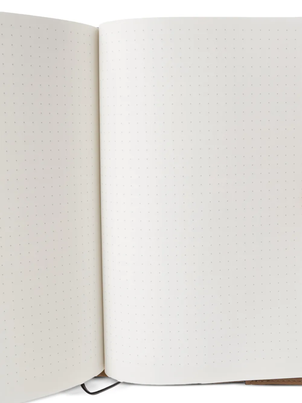 LOEWE x Louis Wain animal-motif notebook | Notebooks & Planners | Image 2