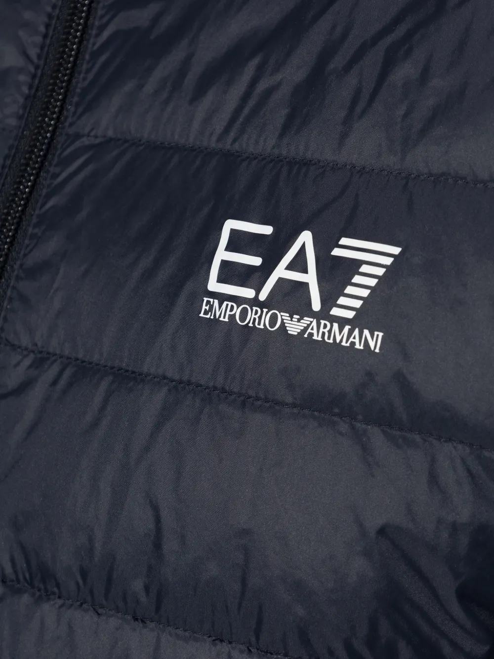 Ea7 Emporio Armani Gewatteerd jack Blauw