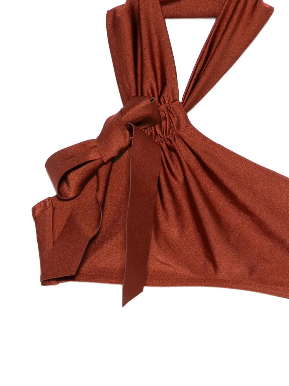  Zimmermann One-shouldrer Bikini - Brown 