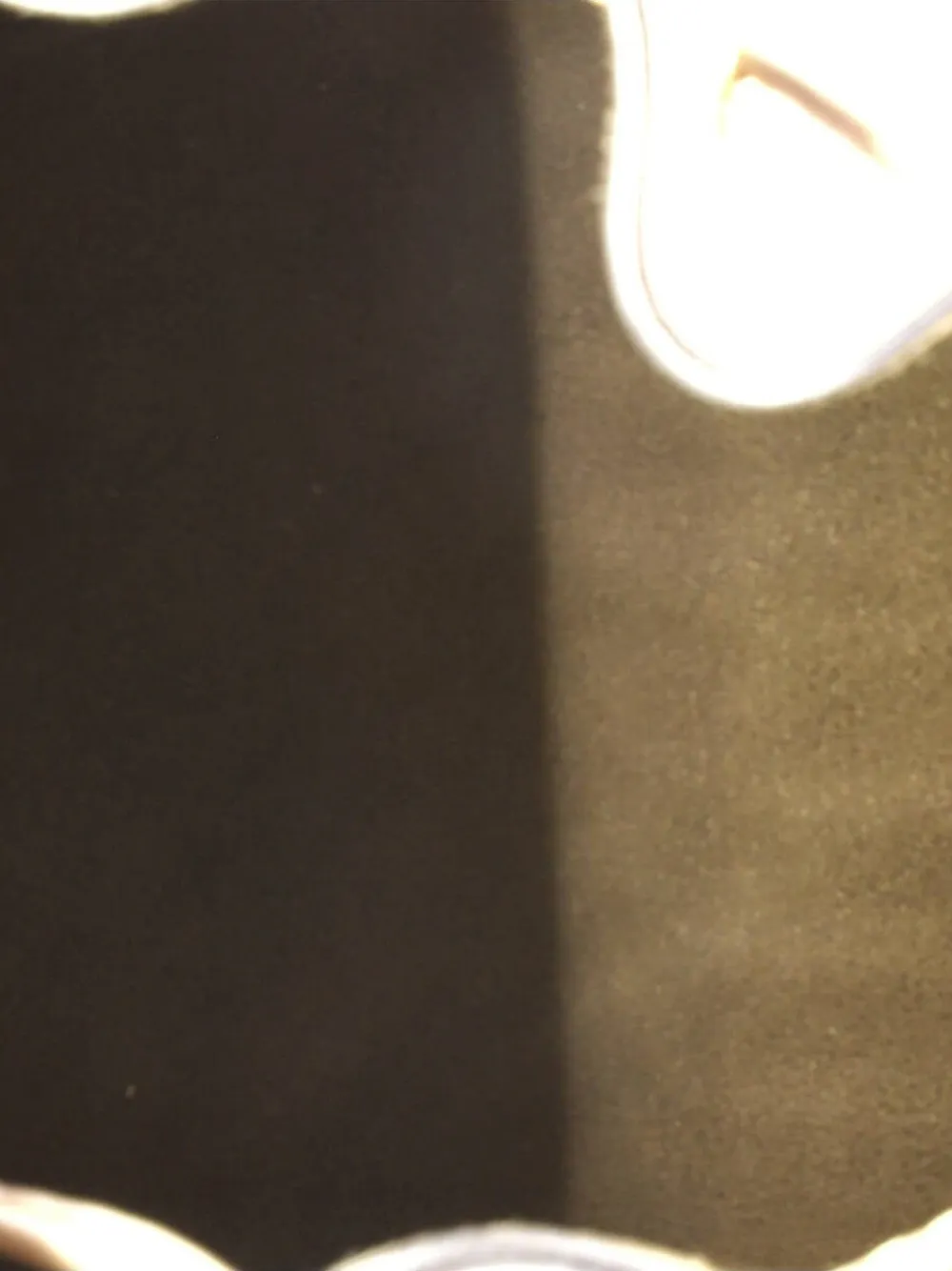 FENDI Pre-owned Logo Mon Tresor Leather Mini Bucket Bag In Brown