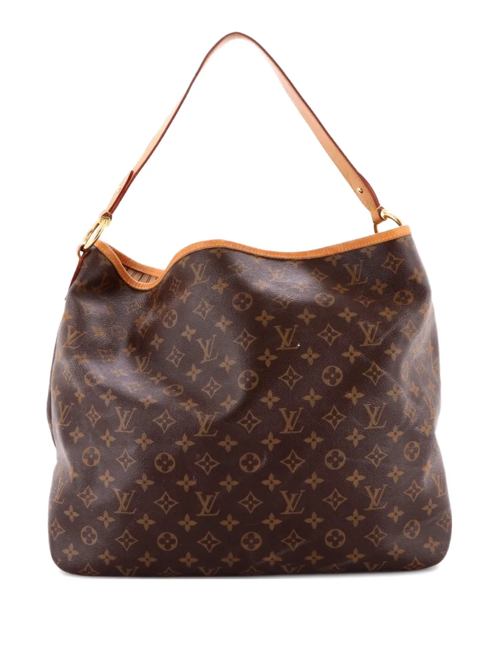 Louis Vuitton Pre-Owned Delightful NM Handbag Monogram Canvas GM hobo bag - Brown