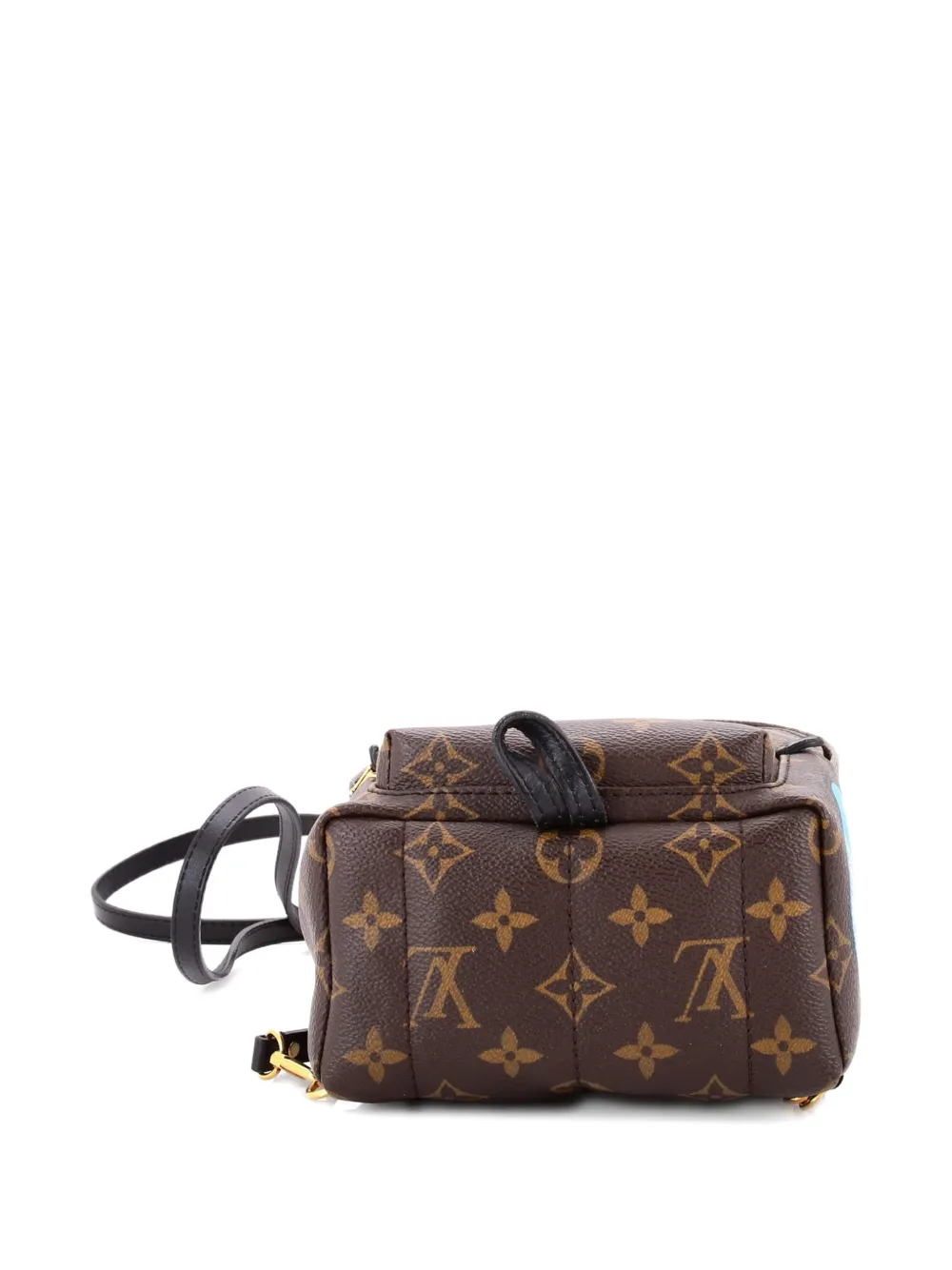 Pre-owned Louis Vuitton Palm Springs Limited Edition World Tour Monogram Canvas Mini Backpack In Brown