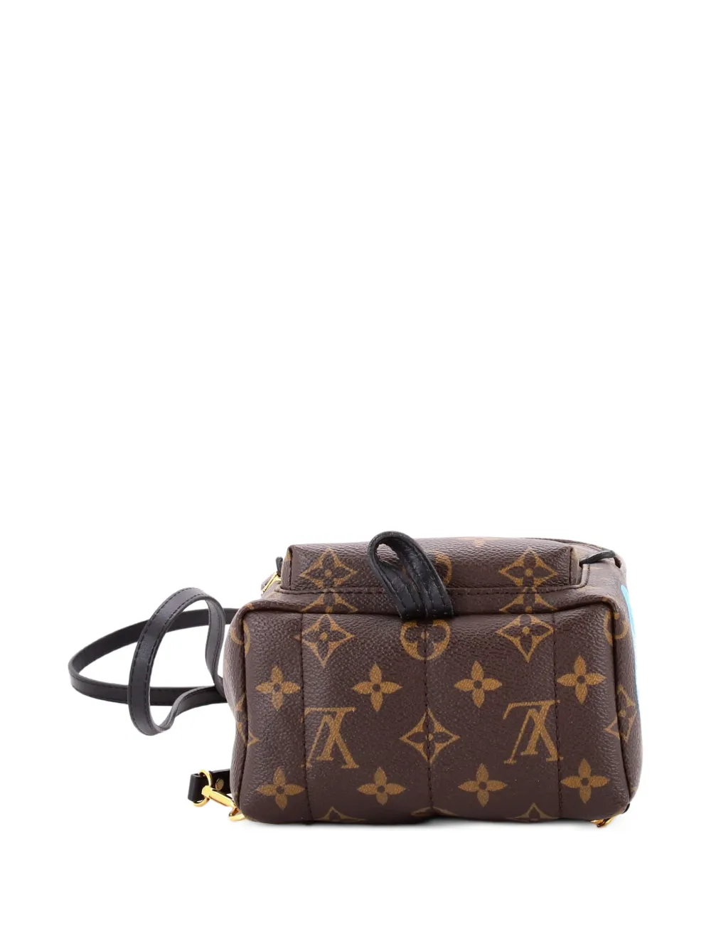 Louis Vuitton Pre-Owned Palm Springs Limited Edition World Tour Monogram Canvas Mini backpack | Estilos de archivo | Image 2