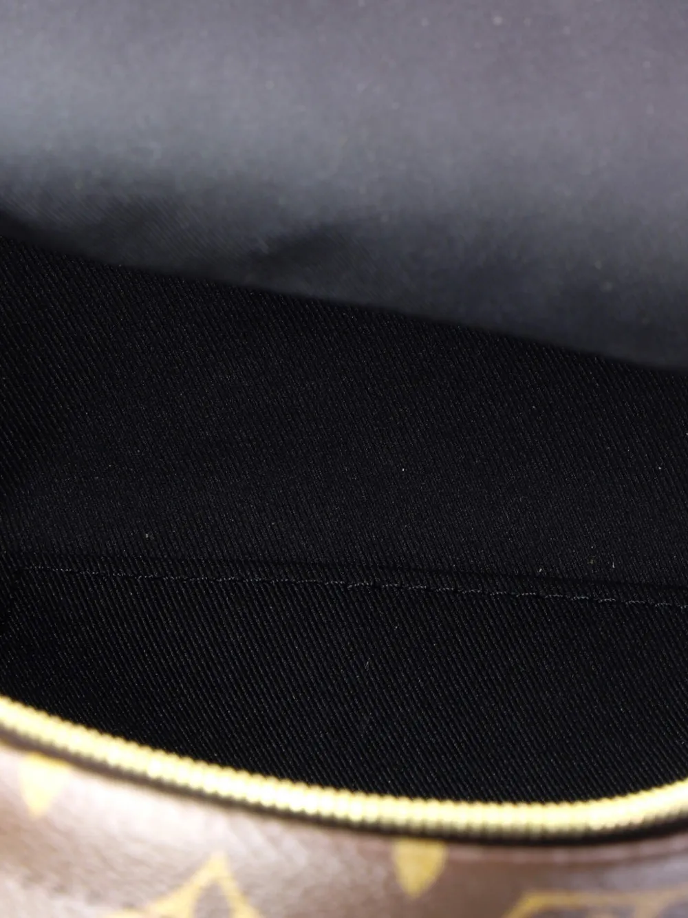 LOUIS VUITTON Pre-owned Palm Springs Monogram Canvas Mini Backpack In Brown