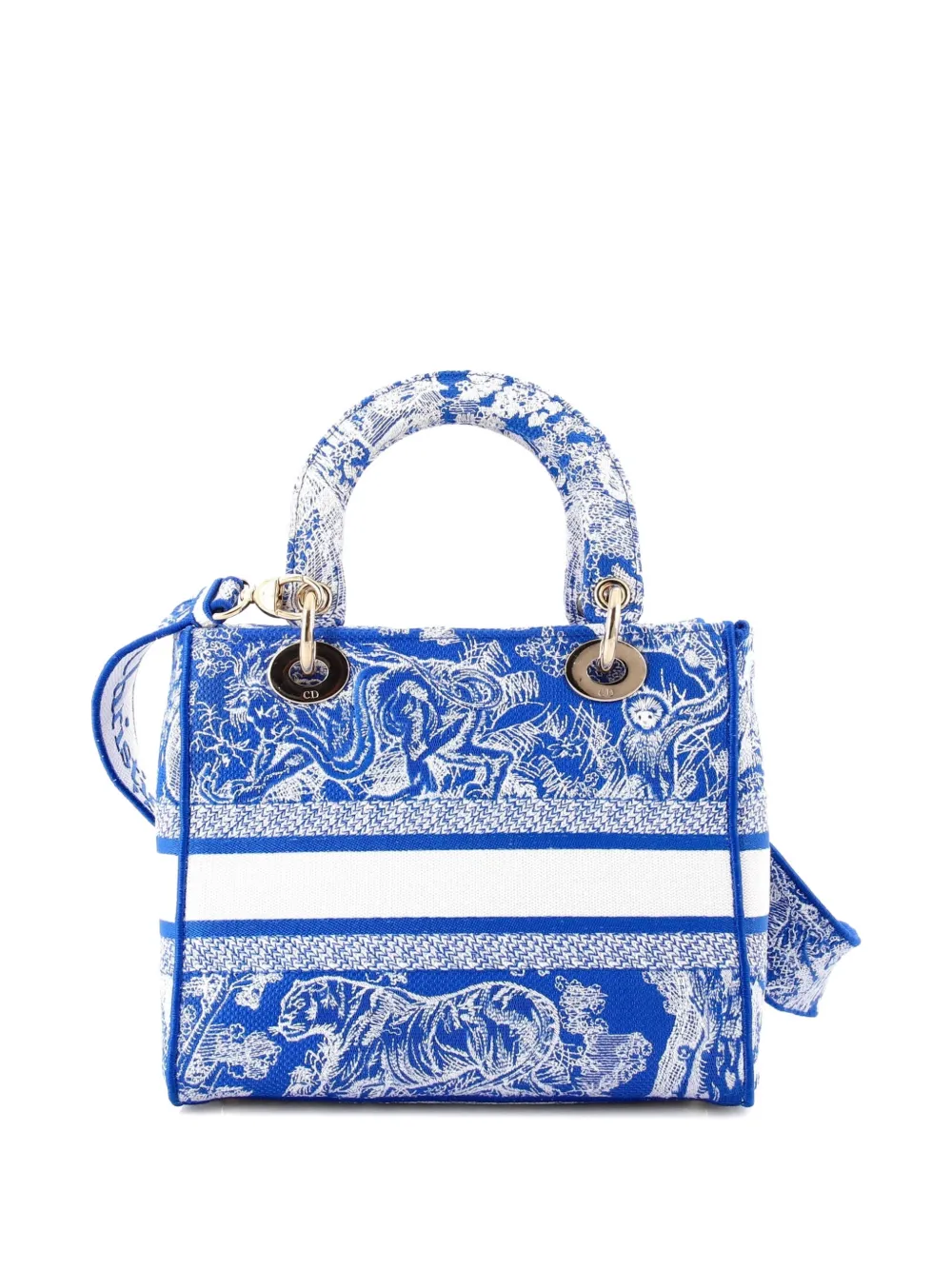 Christian Dior Pre-Owned トワルドジュイ レディ D-ライト バッグ