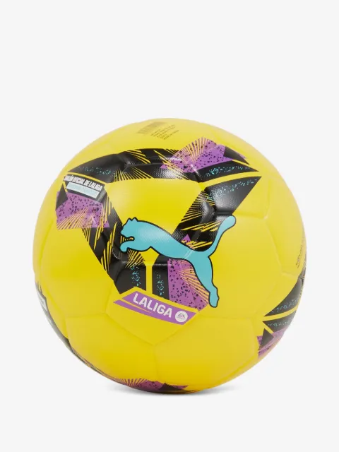 PUMA Orbita LaLiga 1 FIFA Quality football