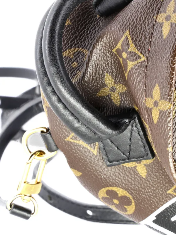 Louis Vuitton Pre-Owned Palm Springs Limited Edition World  display picture 1