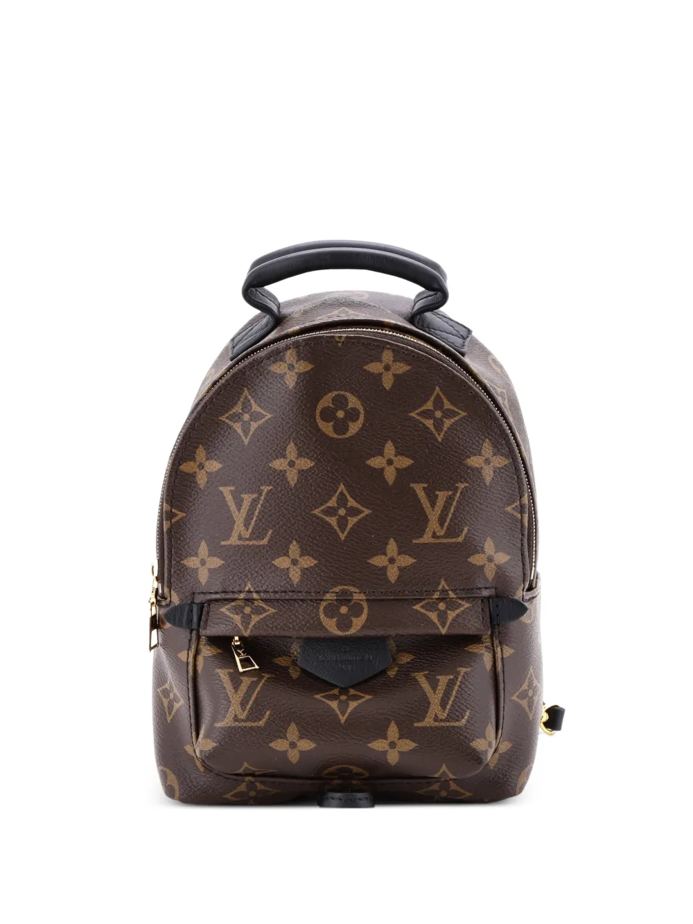 Louis Vuitton Pre-Owned Palm Springs Monogram Canvas Mini backpack | marrón | Image 1