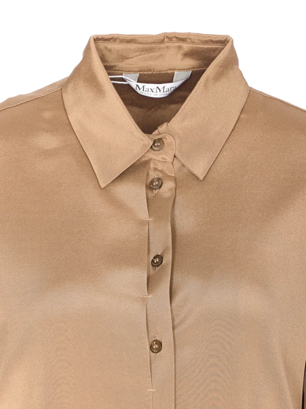 Max Mara Button-up Long-sleeve Shirt In Brown