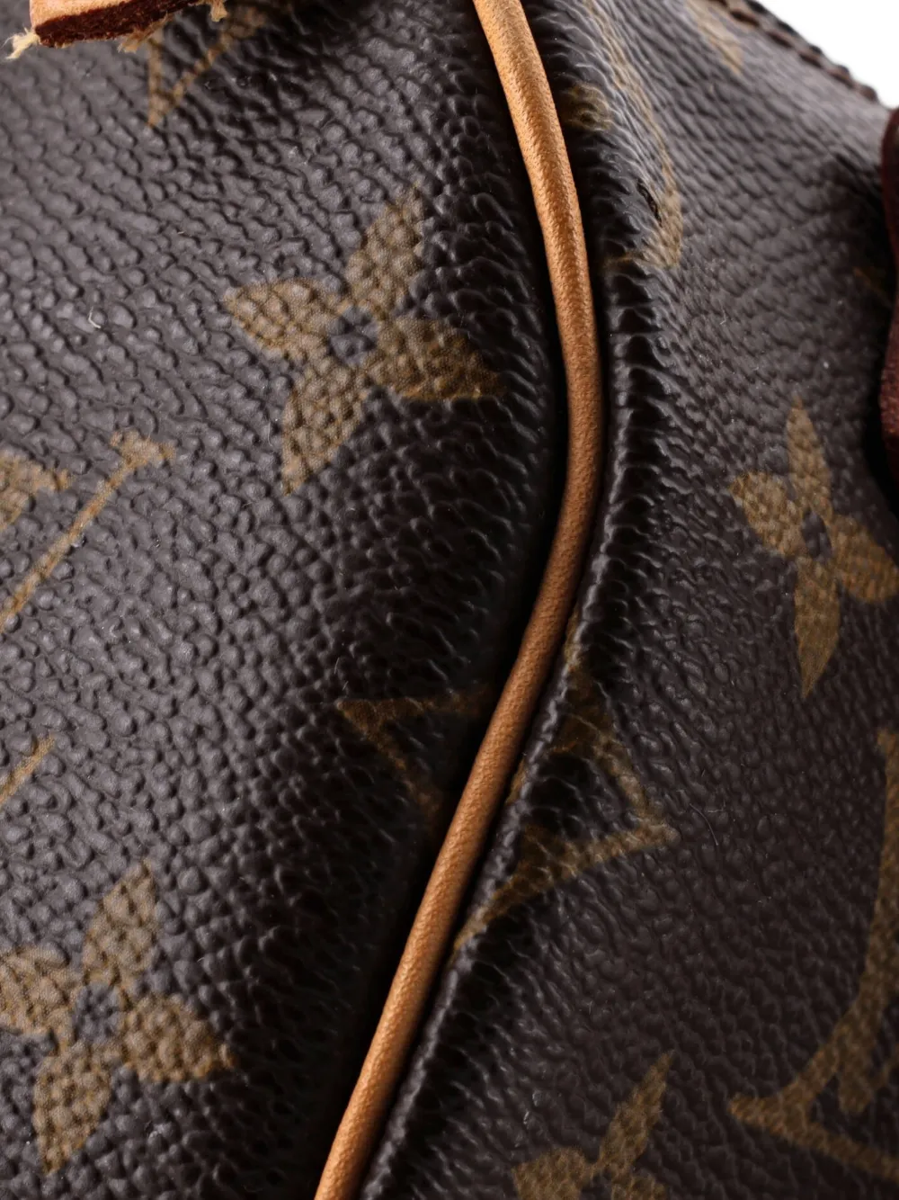 Speedy Mini Hl Handbag Monogram Canvas Satchel