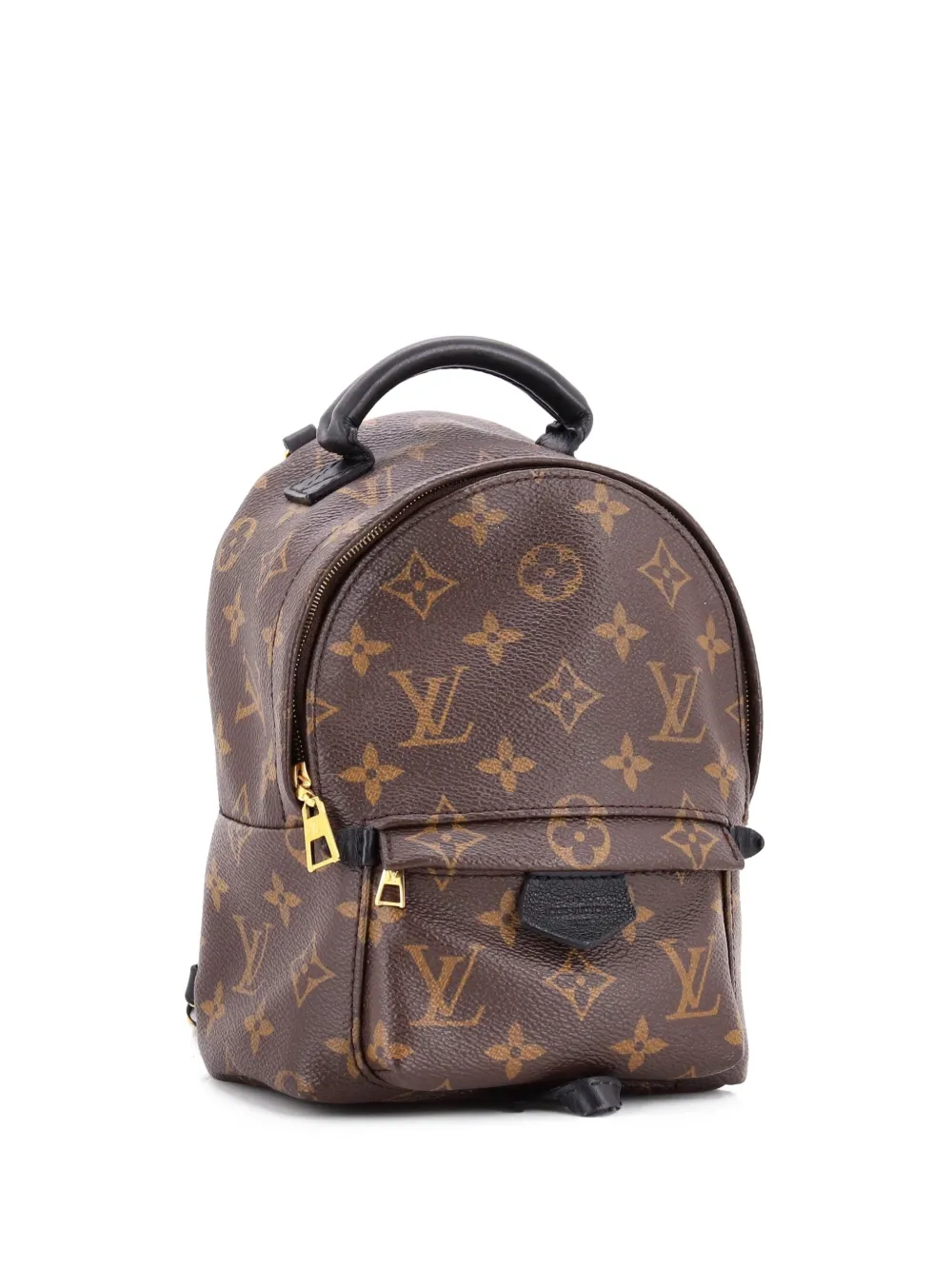 Louis Vuitton Pre-Owned Palm Springs Monogram Canvas Mini backpack | negro | Image 1