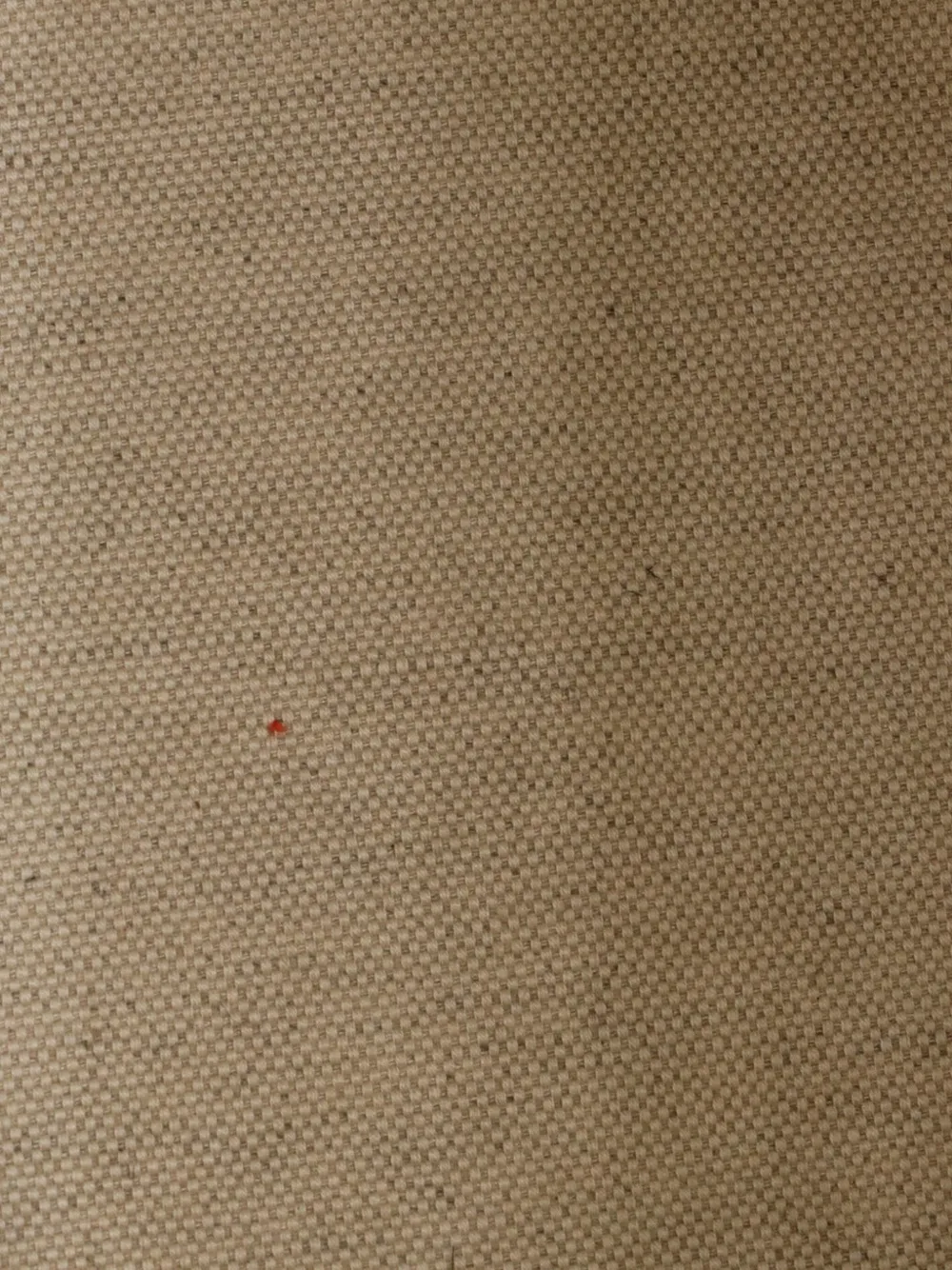 SAINT LAURENT Pre-owned Rive Gauche Canvas Mini Bucket Bag In Neutral