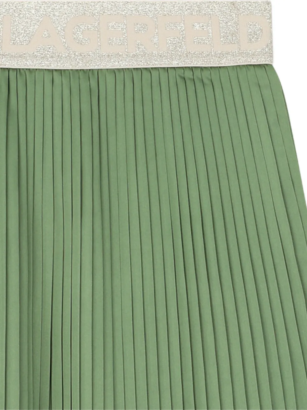 Pleated Waistband Skirt