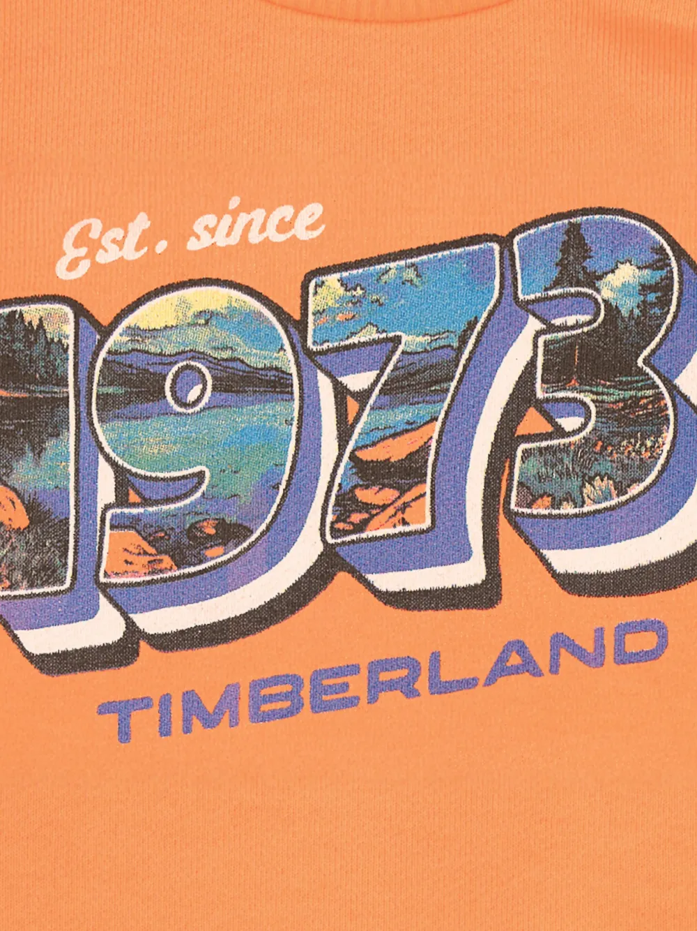 Timberland Kids Sweater met print en ronde hals Oranje