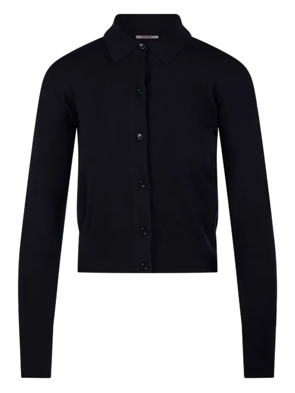 Max Mara Buttoned Collared Cardigan in Blue