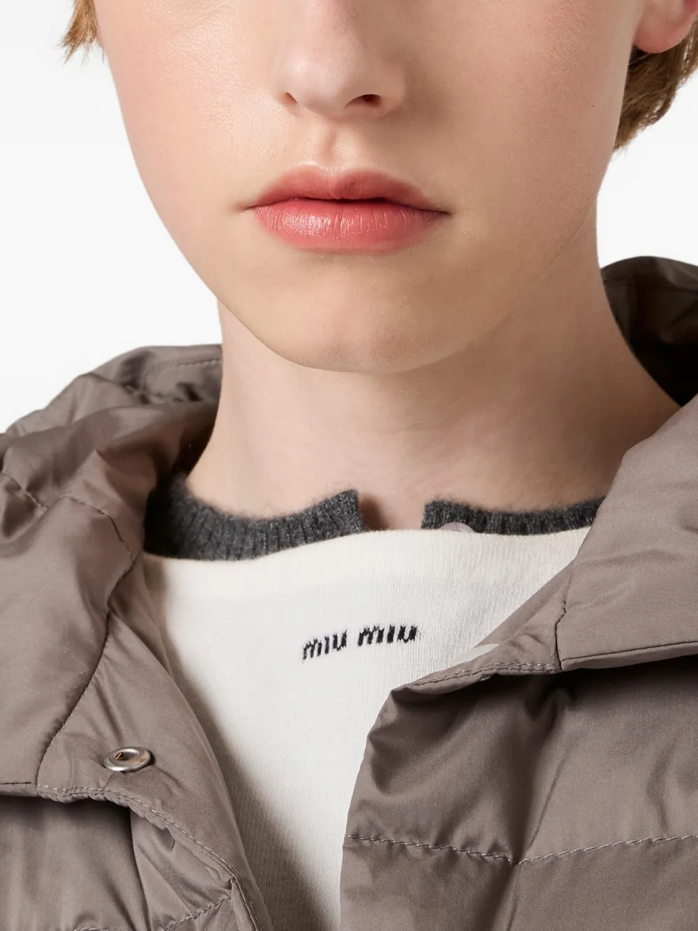 Miu Miu Hooded Down Jacket In Brown