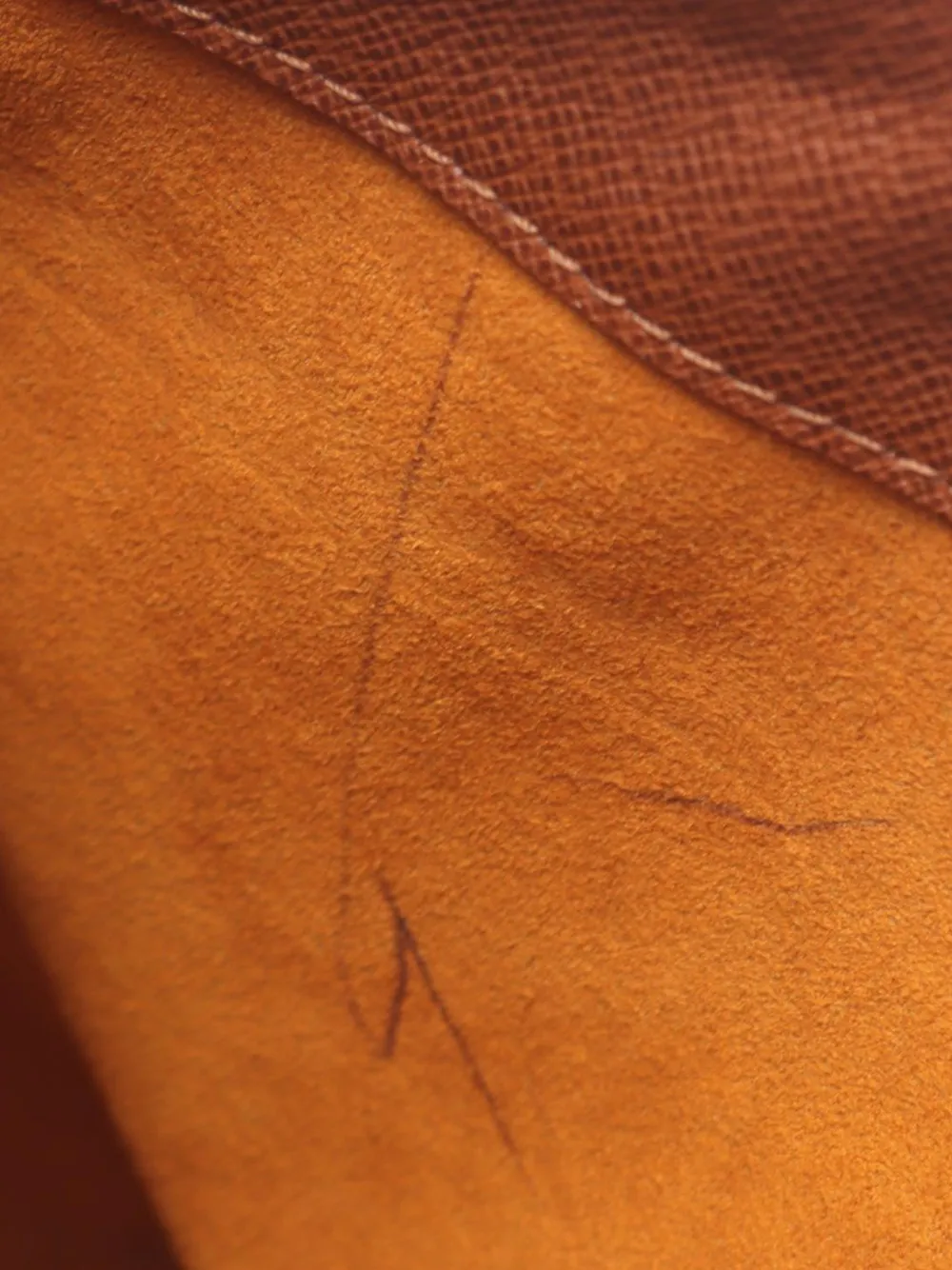 Louis Vuitton Pre-Owned Borsa a spalla Musette Salsa GM con monogramma 1999 - Marrone