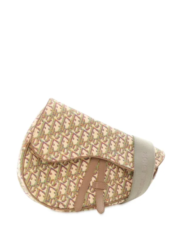 multicolor dior oblique canvas