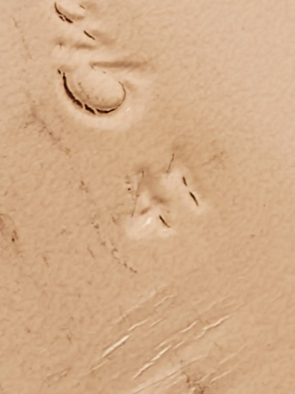 Pre-owned Gianvito Rossi Mary Jane Pumps In Black