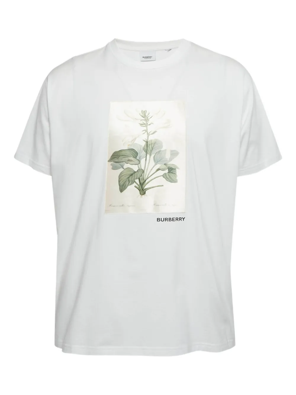Burberry Pre-Owned botanical-print cotton T-shirt - Bianco