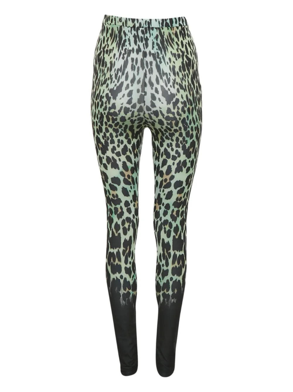 Roberto Cavalli animal-print leggings - Groen