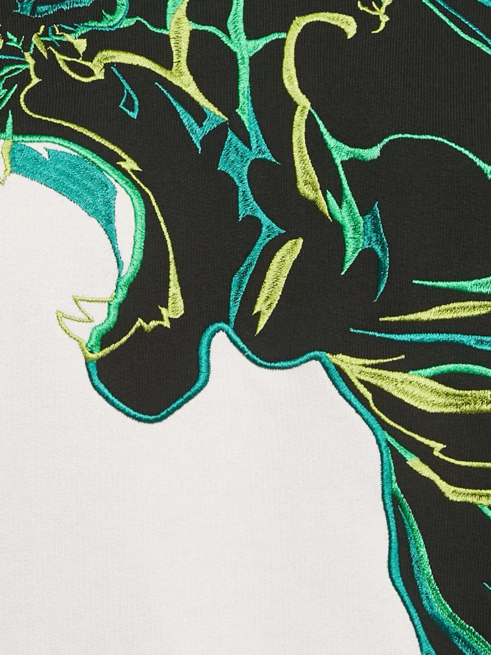 Pre-owned Roberto Cavalli Graphic-embroidered Cotton Sweatshirt In Black