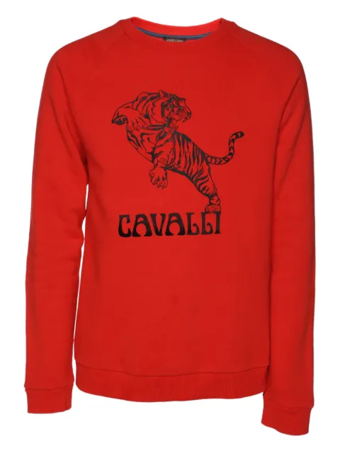 Roberto Cavalli Vintage knit tiger sweatshirt