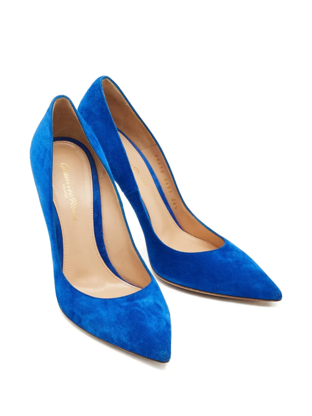 Gianvito Rossi pointed-toe pumps - Blauw