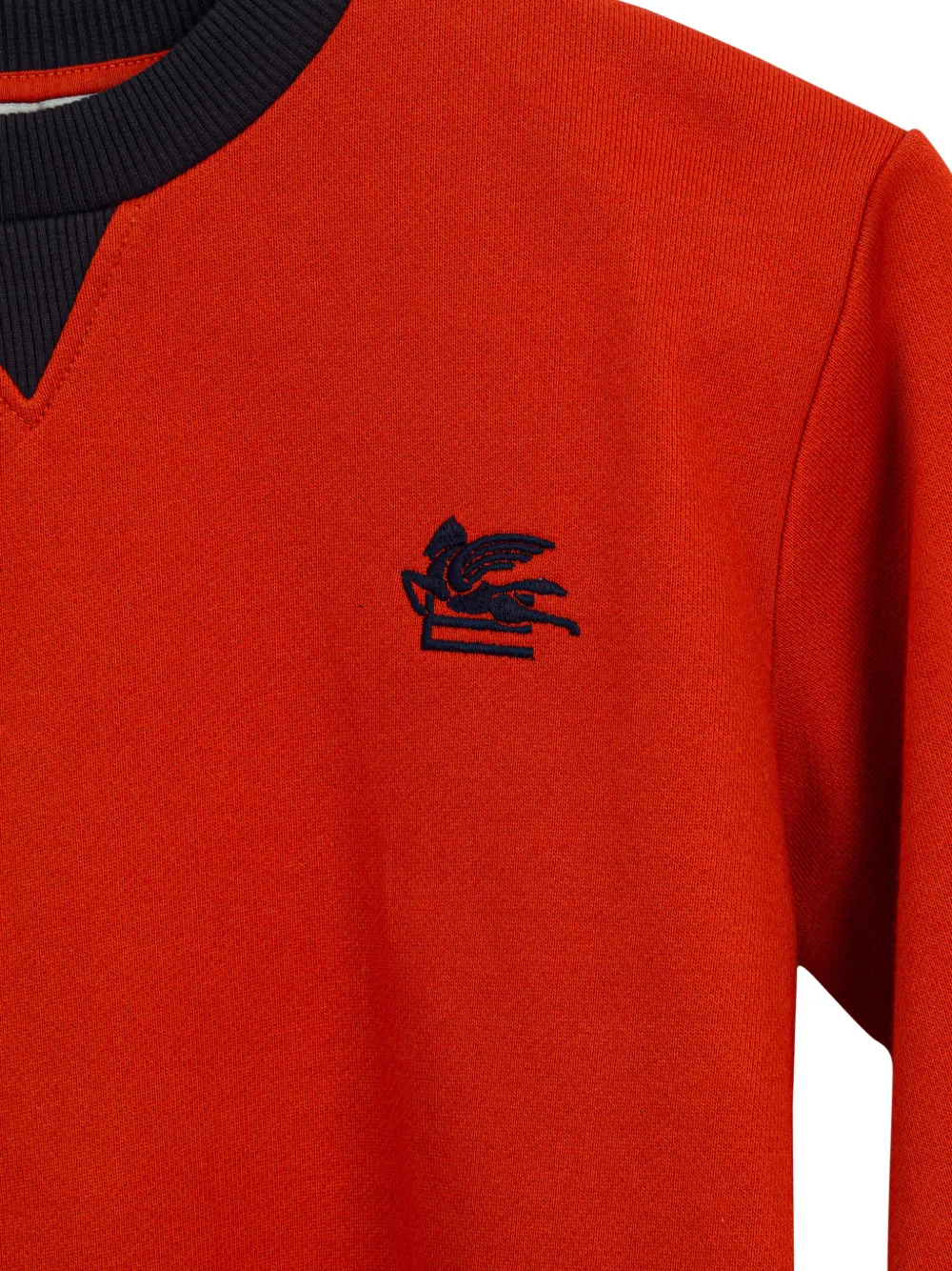 ETRO KIDS Trui met Pegasus-patroon Rood