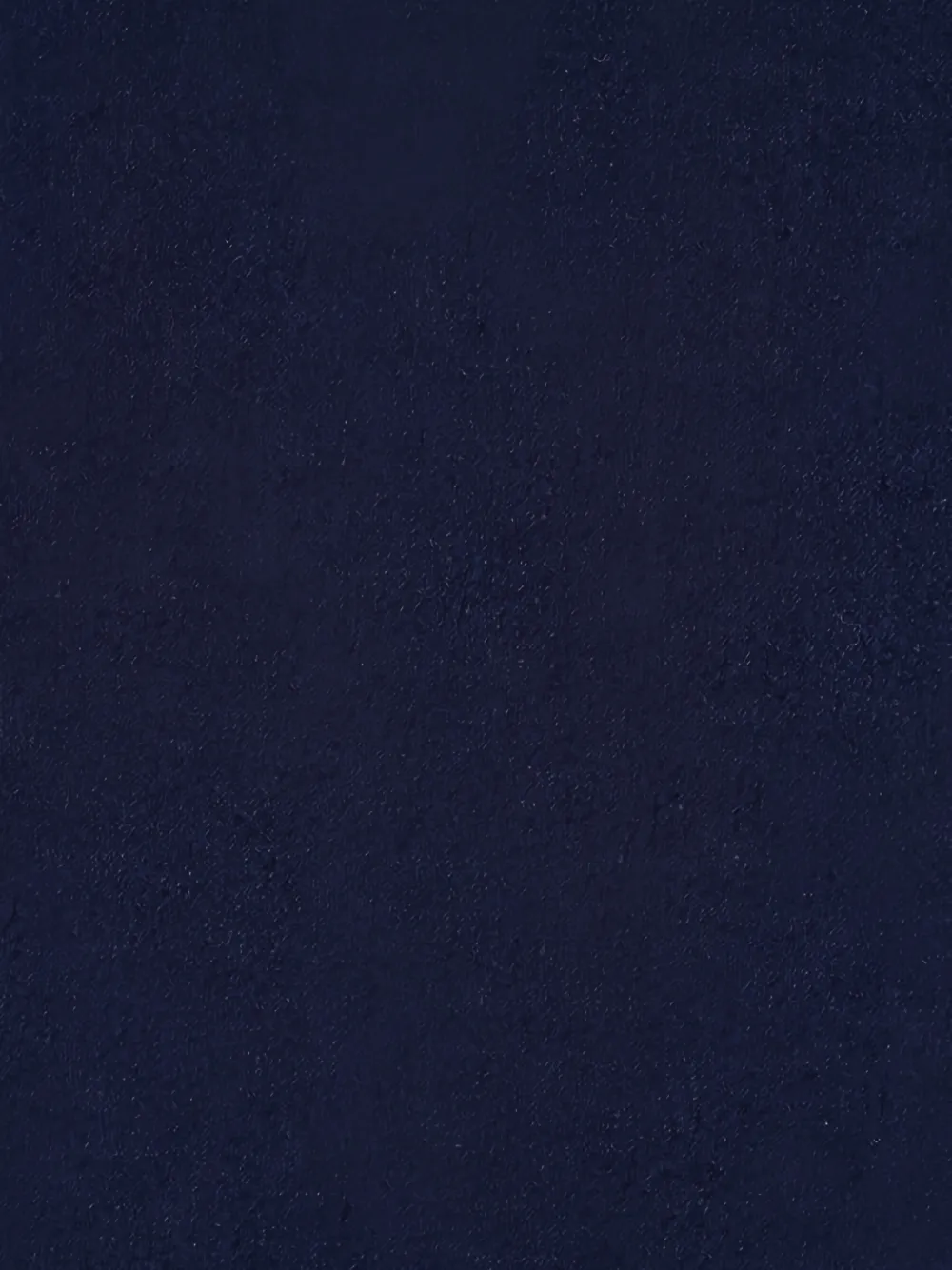 Canali cravate en tweed | Image 2