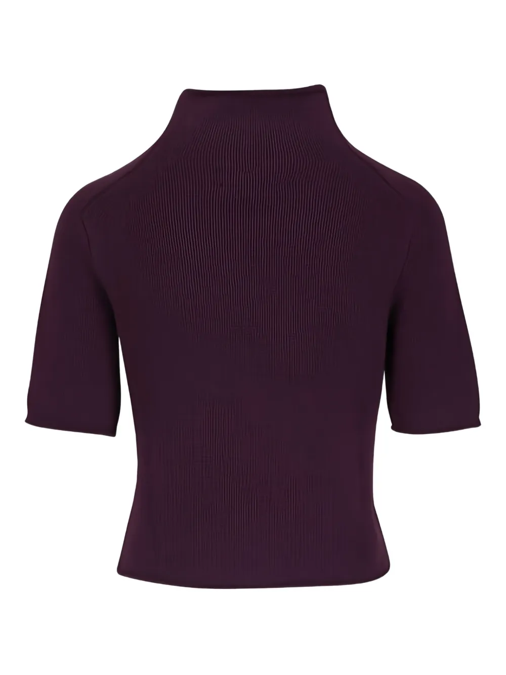 Lisa Yang pull à col cheminée | Pulls | Image 2