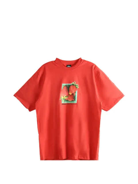 Stüssy graphic-print T-shirt