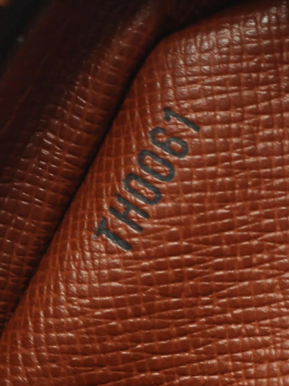 2001 Monogram Amazon Shoulder Bag