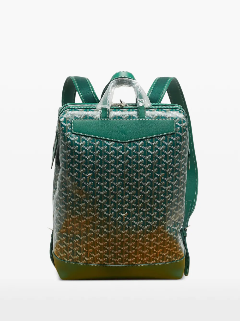 Goyard Pre-Owned Cisalpin Coated Leather Backpack | Green | FARFETCH