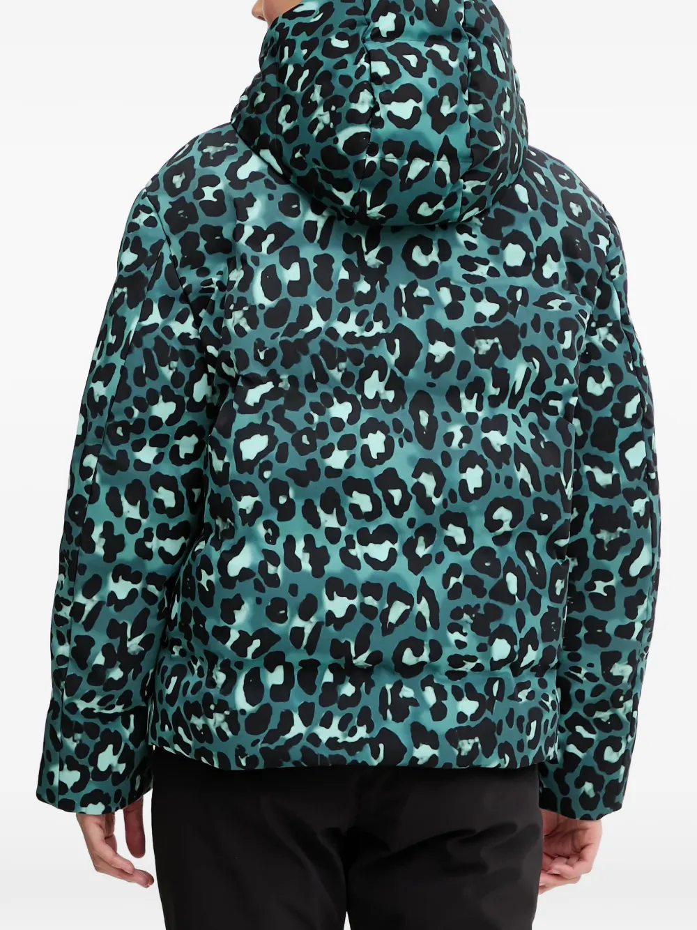 Ea7 Emporio Armani Jack met luipaardprint en capuchon Groen