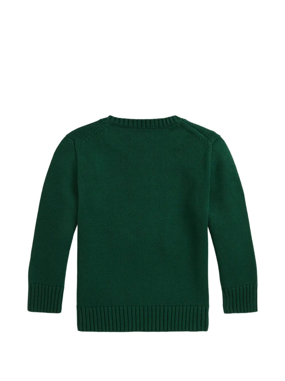 POLO RALPH LAUREN KIDS Intarsia trui Groen