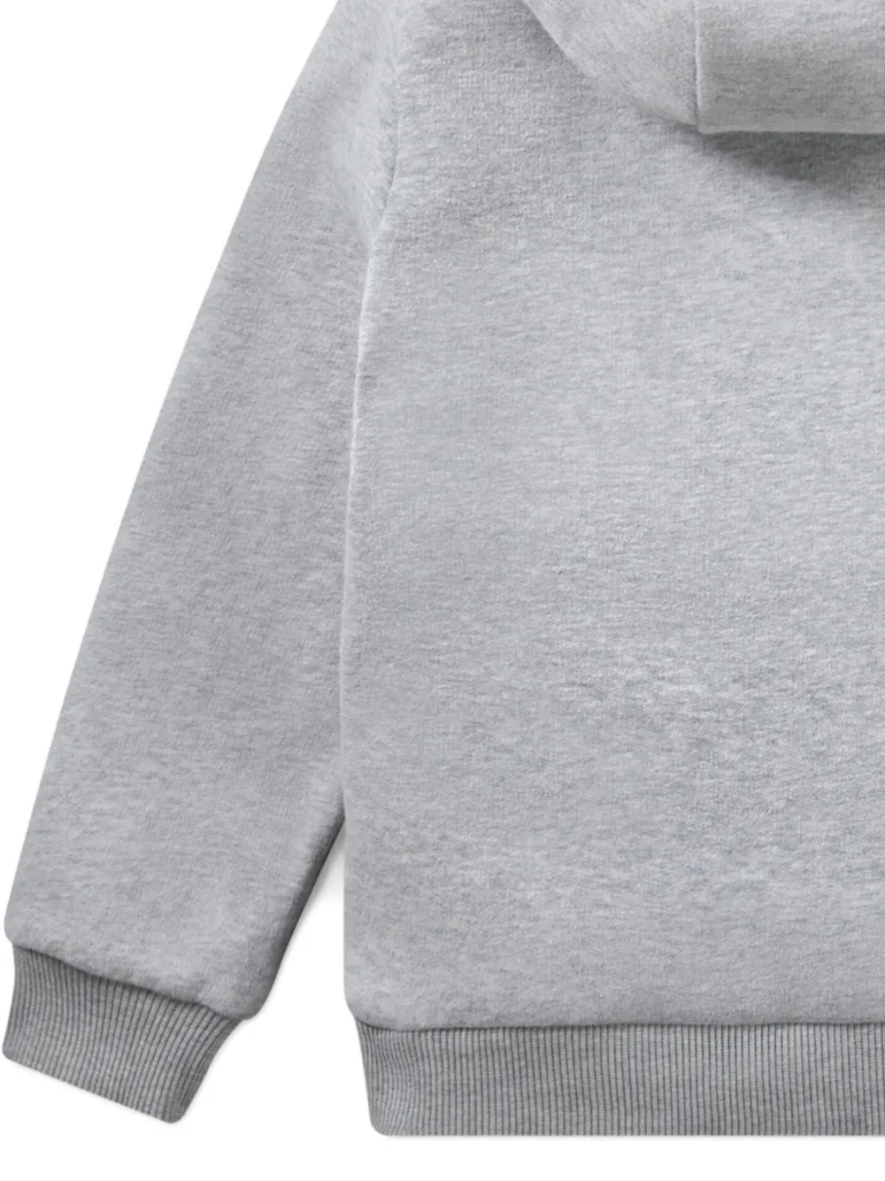 Lacoste Kids Hoodie met logodetail Grijs