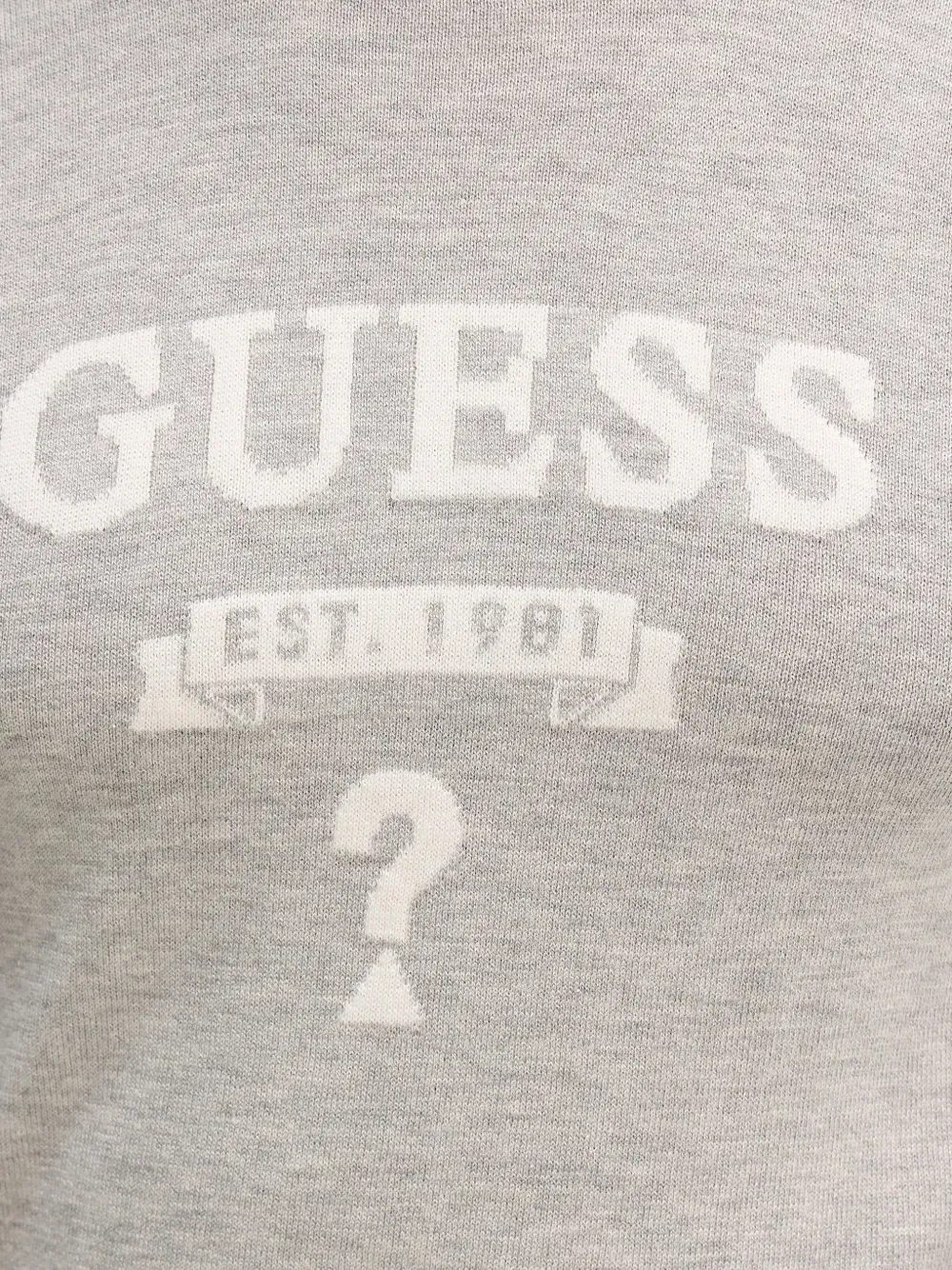 GUESS USA Trui met ronde hals en logo Grijs