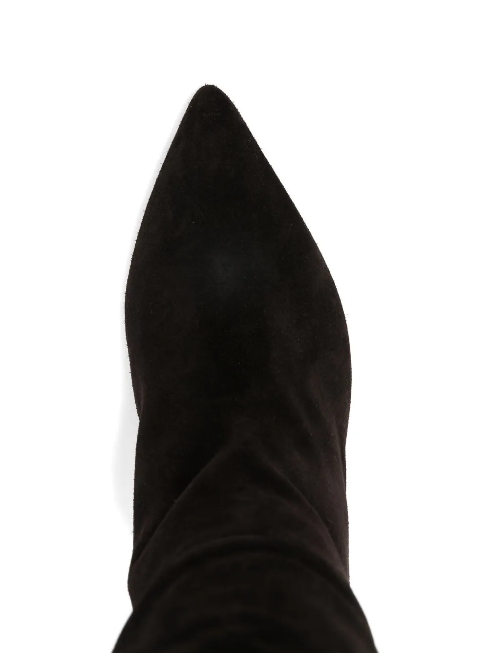 Paris Texas pointed calf suede boots Bruin