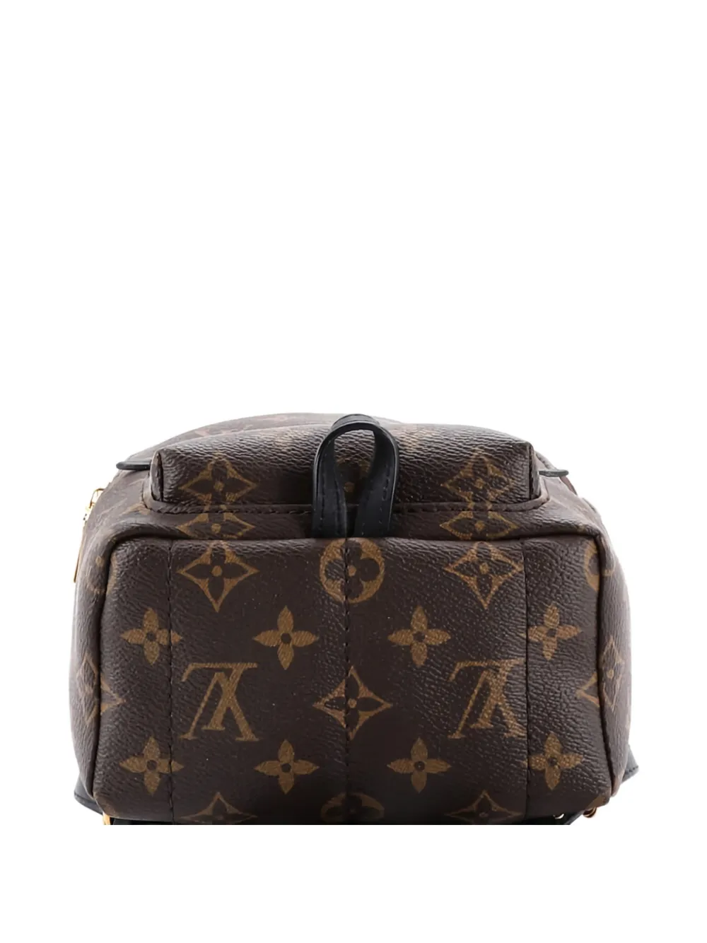 Pre-owned Louis Vuitton Palm Springs Monogram Canvas Mini Backpack In Brown
