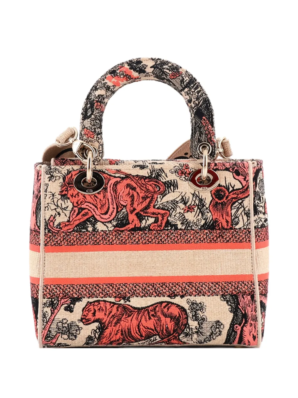 Lady D-Lite Bag Embroidered Raffia Medium Satchel